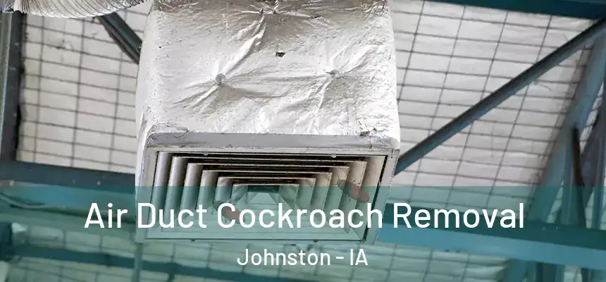 Air Duct Cockroach Removal Johnston - IA