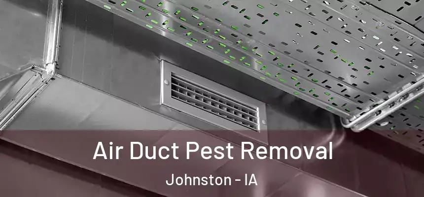  Air Duct Pest Removal Johnston - IA