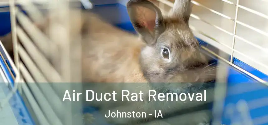  Air Duct Rat Removal Johnston - IA