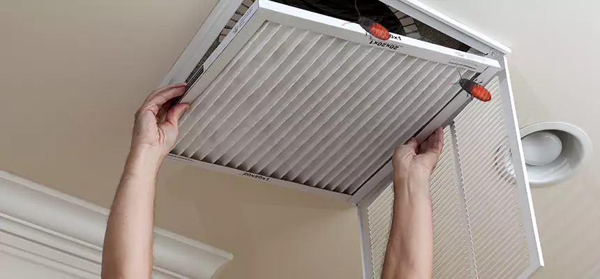 Preventive Cockroach-Proofing for Ducts in Johnston