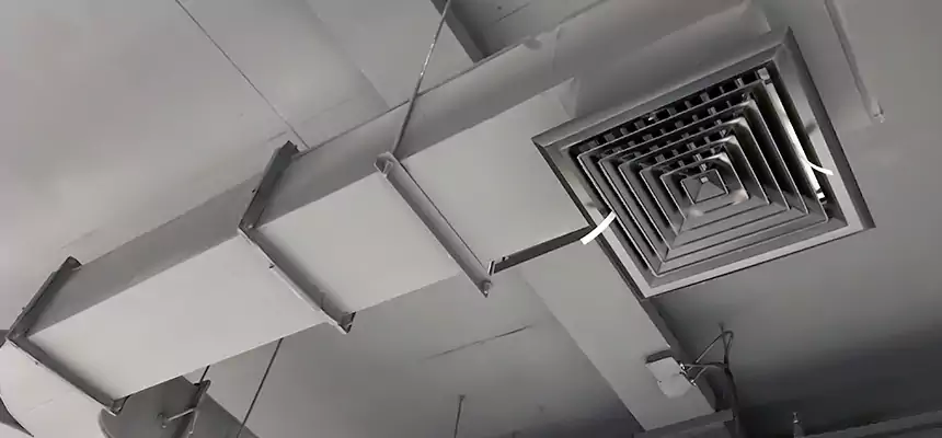 Restorative Allergy Relief Vent Cleaning – Coil, Blower & Housing Detail in Johnston