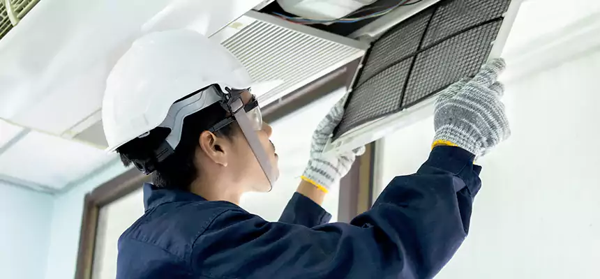 Our Mold & Mildew Removal from Air Ducts Services in Johnston, IA