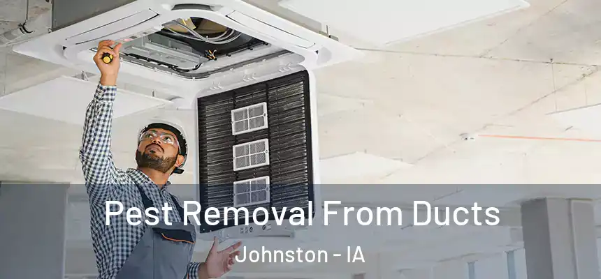  Pest Removal From Ducts Johnston - IA