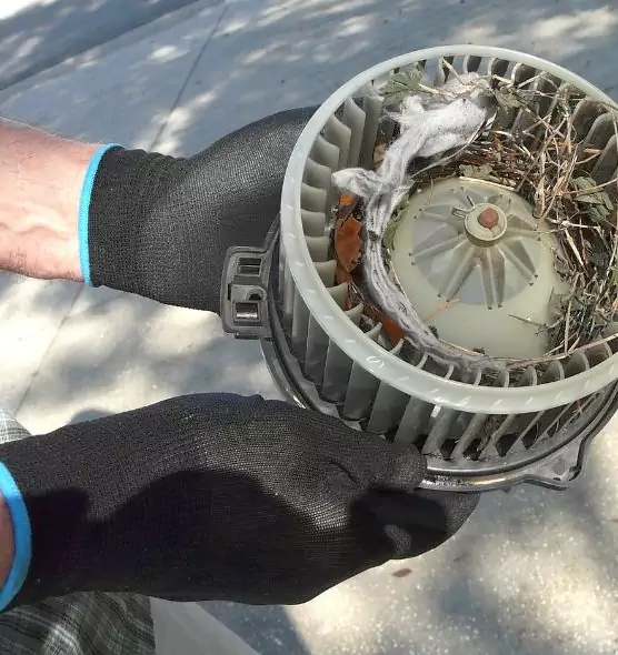 About Air Duct Rat Removal in Johnston, IA