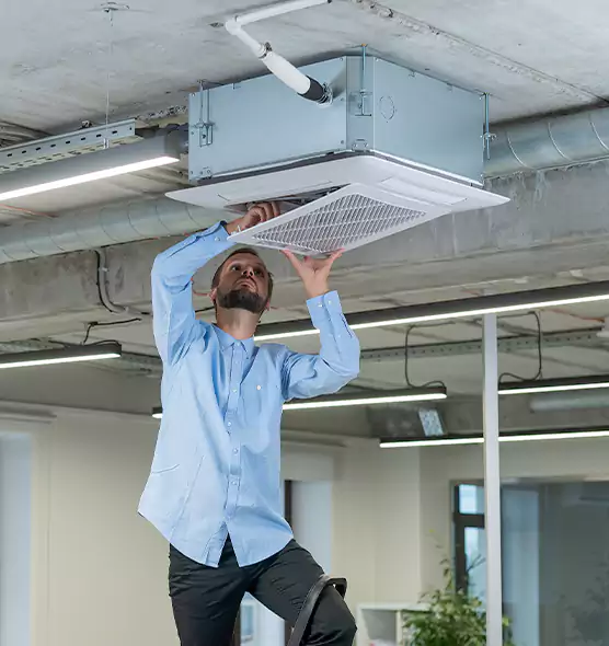 Advanced Rodent Droppings In Vents in Johnston, IA