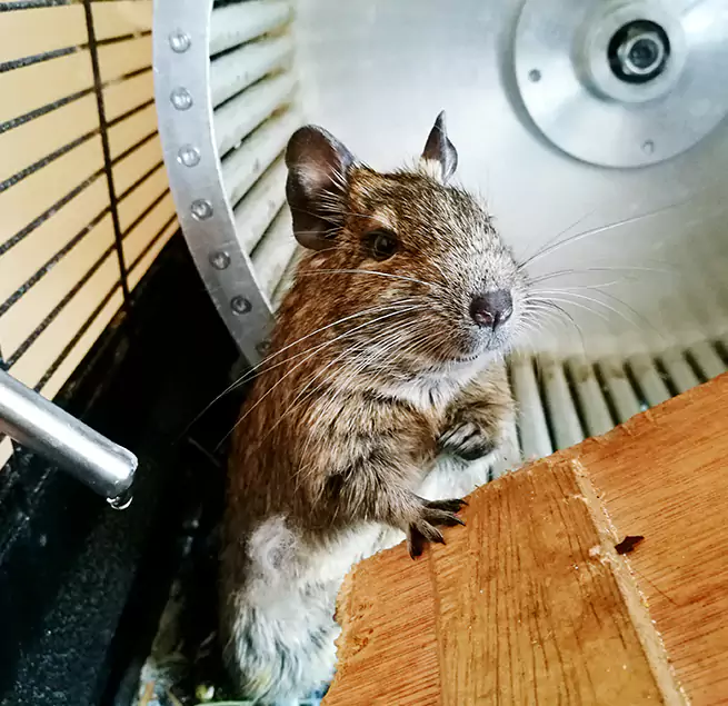 Why Homeowners & Businesses Trust Us Johnston, IA?