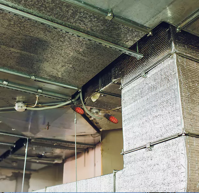 Why Homeowners & Businesses Trust Us Johnston, IA?